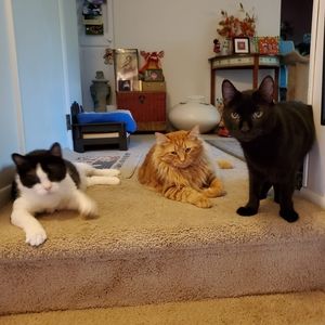 Meet your Posher, Lori